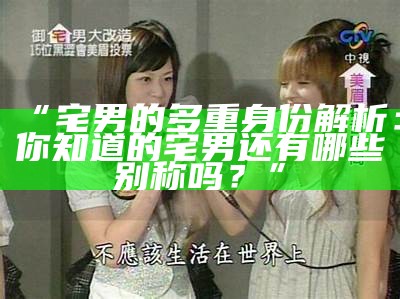《宅男娜娜：探索宅文化与生活方式的青春故事》