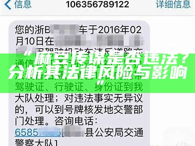 “麻豆传谋是否违法？研究其法律风险与影响”