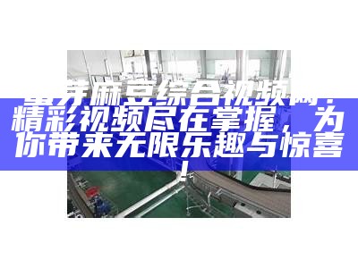 蜜芽麻豆综合视频网：精彩视频尽在掌握，为你带来无限乐趣与惊喜！